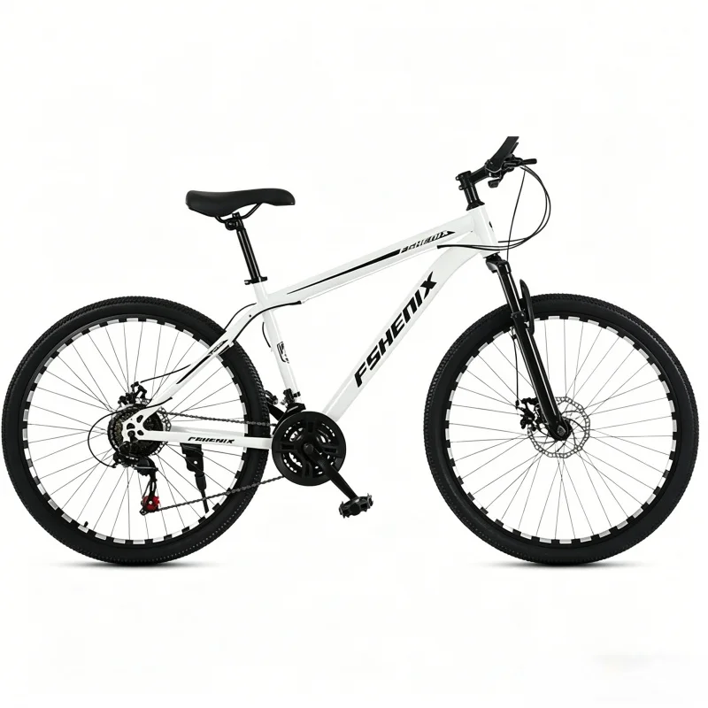 Adult 21 Speed Mountain Bike 2 - Mountain Biking Gear For Men のレビューと価格