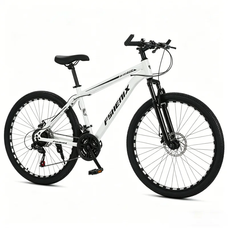 Adult 21 Speed Mountain Bike 2 - Mountain Biking Gear For Men のレビューと価格