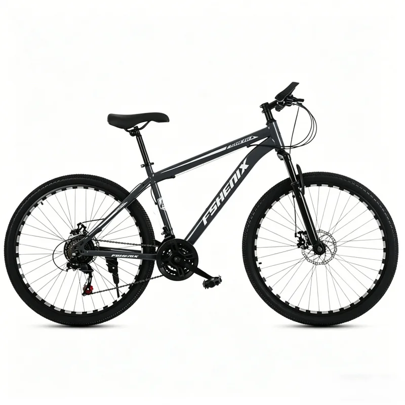Adult 21-Speed Mountain Bike 2 - Mountain Biking Gear For Men のレビューと価格